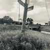 broc_c